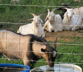 企業(yè)風(fēng)采